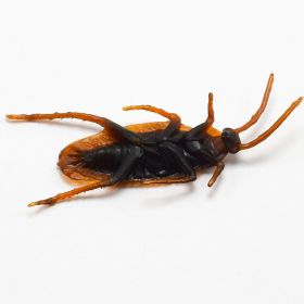 Halloween Simulation Cockroach Tidy Funny Disgusting Scary Toys (Option: Cockroach-12 pcs)