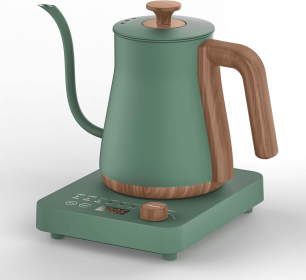 Electric Kettle, 1000W Quick Heating, 0.8L/27.05oz, Precise Water Flow Control & Auto Shut-Off & Boil Dry Protect, Water Kettles (Color: Green)